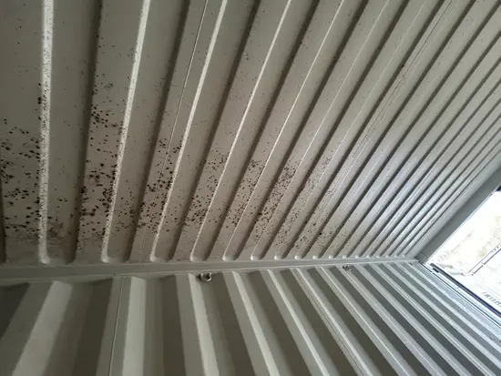 roof 2
