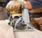 Yellow and gray and black DEWALT Circular Saw, 7-1/4 in., Worm Drive, Electric Powered