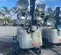 2019 Wacker Neuson LTV6L Portable Light Tower