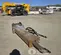 2022 Epiroc EC 135T Attachment
