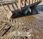 2022 TAG Manufacturing JRB 416 Rake Attachment