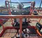 2017 JLG 450AJ Articulating Boom Lift