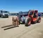 2017 Skyjack SJ643TH Forklift