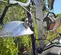 2020 Wanco WLTT-4MK106K Portable Light Tower