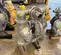 2024 VERSAMATIC E3SA5T559C-ATEX Pump