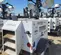 2019 Generac MLT4200IVF4 Portable Light Tower