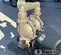 2016 Texas Process Equipment PD30S-ASS-STT-C Pump