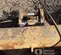 2021 STRICKLAND TDB-21060 Attachment