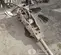 2022 FURUKAWA KF9FSP-WR Attachment