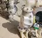 2023 VERSAMATIC E3PP5T559A Pump