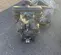 2015 Texas Process Equipment PD30S-ASS-STT-C Pump